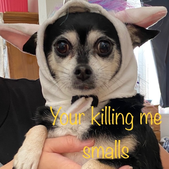 Hello! I’m Zoraida, a Posh Ambassador & Mentor - Picture 9 of 16